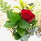 Una rosas con maceta